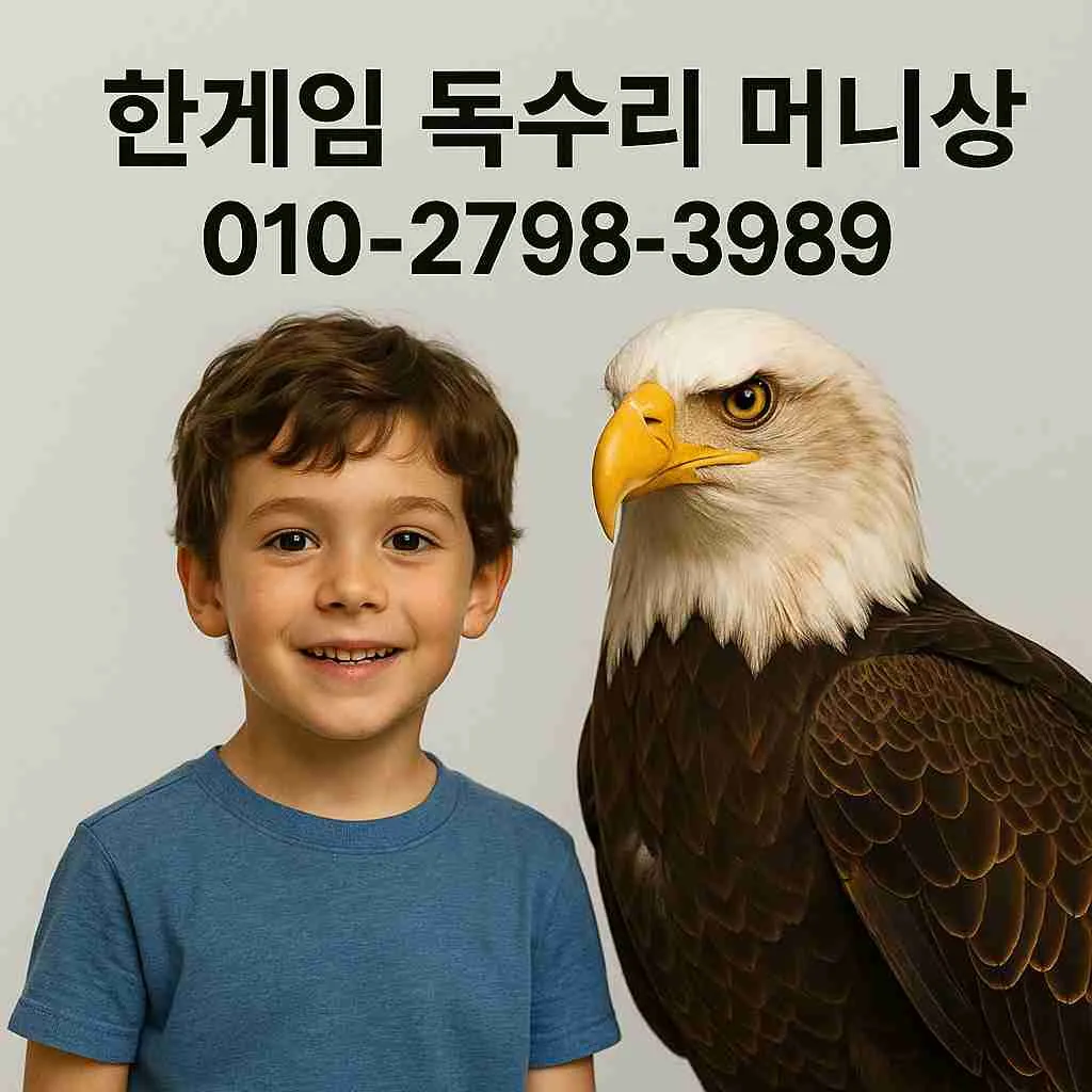 한게임 하이로우 포커 게임 플레이 화면