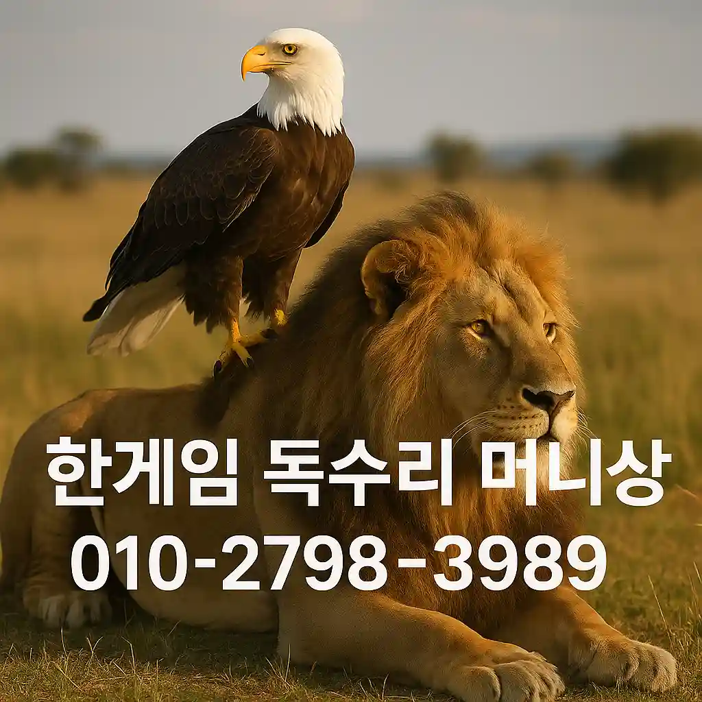 한게임 머니상 시간대 분석 이미지 3