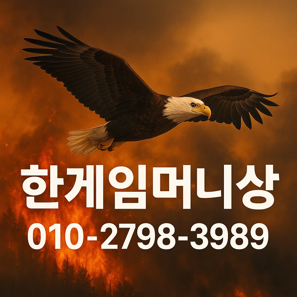 다양한 환전상 비교 화면