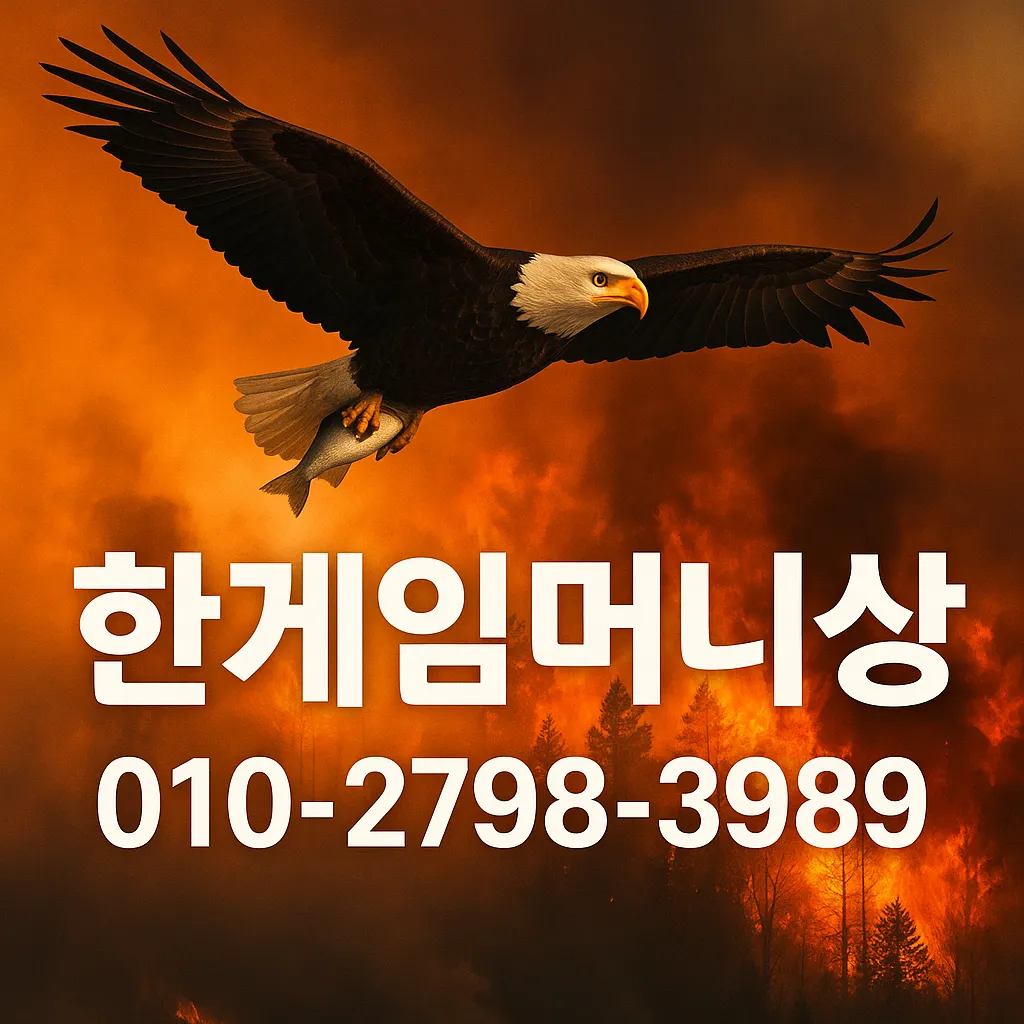 머니상 시세 하락 그래프 이미지